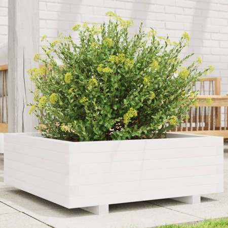 Jardinera de madera maciza de pino blanco 70x70x26,5 cm en Macetas y jardineras | Comprar online en Foru.es