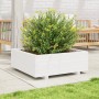 Jardinera de madera maciza de pino blanco 70x70x26,5 cm en Macetas y jardineras | Comprar online en Foru.es