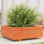 Jardinera de madera maciza de pino marrón cera 70x70x26,5 cm en Macetas y jardineras | Comprar online en Foru.es