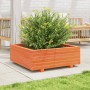 Jardinera de madera maciza de pino marrón cera 70x70x26,5 cm en Macetas y jardineras | Comprar online en Foru.es