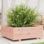 Jardinera de madera maciza Douglas 70x70x26,5 cm en Macetas y jardineras | Comprar online en Foru.es