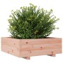 Jardinera de madera maciza Douglas 70x70x26,5 cm en Macetas y jardineras | Comprar online en Foru.es