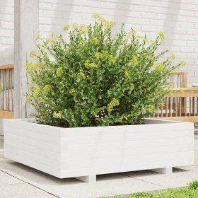 Jardinera de madera maciza de pino blanca 80x80x26,5 cm en Macetas y jardineras | Comprar online en Foru.es