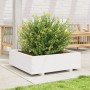 Jardinera de madera maciza de pino blanca 80x80x26,5 cm en Macetas y jardineras | Comprar online en Foru.es