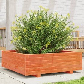 Jardinera de madera maciza de pino marrón cera 80x80x26,5 cm en Macetas y jardineras | Comprar online en Foru.es