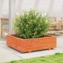 Jardinera de madera maciza de pino marrón cera 80x80x26,5 cm en Macetas y jardineras | Comprar online en Foru.es