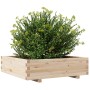 Jardinera de madera maciza de pino 90x90x26,5 cm en Macetas y jardineras | Comprar online en Foru.es