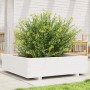 Jardinera de madera maciza de pino blanco 90x90x26,5 cm en Macetas y jardineras | Comprar online en Foru.es