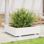 Jardinera de madera maciza de pino blanco 90x90x26,5 cm en Macetas y jardineras | Comprar online en Foru.es