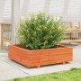 Jardinera de madera maciza de pino marrón cera 90x90x26,5 cm en Macetas y jardineras | Comprar online en Foru.es