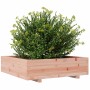 Jardinera madera maciza de abeto Douglas 90x90x26,5 cm en Macetas y jardineras | Comprar online en Foru.es