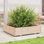 Jardinera madera maciza de pino 100x100x26,5 cm en Macetas y jardineras | Comprar online en Foru.es