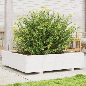 Jardinera madera maciza de pino blanco 100x100x26,5 cm en Macetas y jardineras | Comprar online en Foru.es