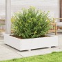 Jardinera madera maciza de pino blanco 100x100x26,5 cm en Macetas y jardineras | Comprar online en Foru.es