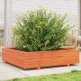 Jardinera de madera maciza de pino marrón cera 100x100x26,5 cm en Macetas y jardineras | Comprar online en Foru.es