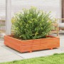 Jardinera de madera maciza de pino marrón cera 100x100x26,5 cm en Macetas y jardineras | Comprar online en Foru.es
