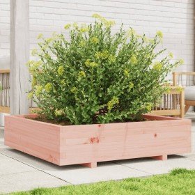 Jardinera madera maciza de abeto Douglas 100x100x26,5 cm en Macetas y jardineras | Comprar online en Foru.es