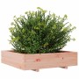 Jardinera madera maciza de abeto Douglas 100x100x26,5 cm en Macetas y jardineras | Comprar online en Foru.es