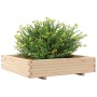 Jardinera de madera maciza de pino 110x110x26,5 cm en Macetas y jardineras | Comprar online en Foru.es