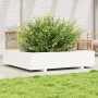 Jardinera de madera maciza de pino blanca 110x110x26,5 cm en Macetas y jardineras | Comprar online en Foru.es