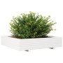 Jardinera de madera maciza de pino blanca 110x110x26,5 cm en Macetas y jardineras | Comprar online en Foru.es