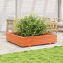 Jardinera de madera maciza de pino marrón cera 110x110x26,5 cm en Macetas y jardineras | Comprar online en Foru.es