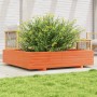 Jardinera de madera maciza de pino marrón cera 110x110x26,5 cm en Macetas y jardineras | Comprar online en Foru.es