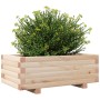 Jardinera de madera maciza de pino 70x40x26,5 cm en Macetas y jardineras | Comprar online en Foru.es