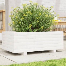 Jardinera de madera maciza de pino blanco 70x40x26,5 cm en Macetas y jardineras | Comprar online en Foru.es