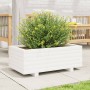 Jardinera de madera maciza de pino blanco 70x40x26,5 cm en Macetas y jardineras | Comprar online en Foru.es