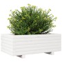 Jardinera de madera maciza de pino blanco 70x40x26,5 cm en Macetas y jardineras | Comprar online en Foru.es