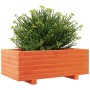 Jardinera de madera maciza de pino marrón cera 70x40x26,5 cm en Macetas y jardineras | Comprar online en Foru.es
