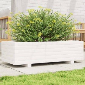 Jardinera de madera maciza de pino blanco 90x40x26,5 cm en Macetas y jardineras | Comprar online en Foru.es