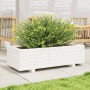 Jardinera de madera maciza de pino blanco 90x40x26,5 cm en Macetas y jardineras | Comprar online en Foru.es