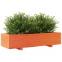 Jardinera de madera maciza de pino marrón cera 110x40x26,5 cm en Macetas y jardineras | Comprar online en Foru.es