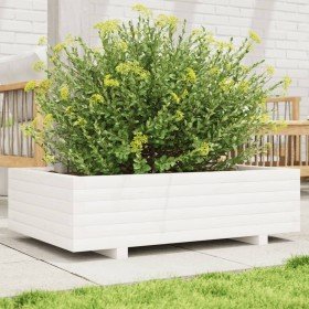Jardinera de madera maciza de pino blanco 90x40x26,5 cm en Macetas y jardineras | Comprar online en Foru.es