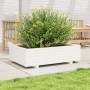 Jardinera de madera maciza de pino blanco 90x40x26,5 cm en Macetas y jardineras | Comprar online en Foru.es