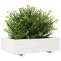 Jardinera de madera maciza de pino blanco 90x40x26,5 cm en Macetas y jardineras | Comprar online en Foru.es