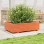 Jardinera de madera maciza de pino marrón cera 90x60x26,5 cm en Macetas y jardineras | Comprar online en Foru.es
