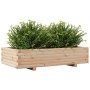 Jardinera de madera maciza de pino 110x60x26,5 cm en Macetas y jardineras | Comprar online en Foru.es