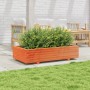Jardinera de madera maciza de pino marrón cera 110x60x26,5 cm en Macetas y jardineras | Comprar online en Foru.es