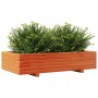 Jardinera de madera maciza de pino marrón cera 110x60x26,5 cm en Macetas y jardineras | Comprar online en Foru.es