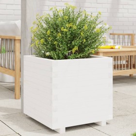 Jardinera madera maciza de pino blanco 50x50x49,5 cm en Macetas y jardineras | Comprar online en Foru.es