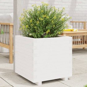 Jardinera madera maciza de pino blanco 50x50x49,5 cm en Macetas y jardineras | Comprar online en Foru.es