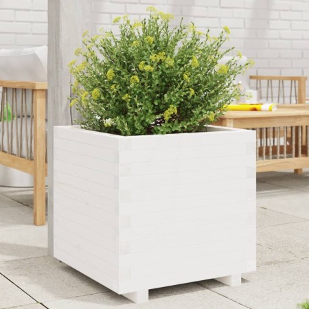 Jardinera madera maciza de pino blanco 50x50x49,5 cm en Macetas y jardineras | Comprar online en Foru.es