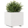 Jardinera madera maciza de pino blanco 50x50x49,5 cm en Macetas y jardineras | Comprar online en Foru.es