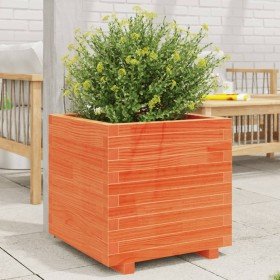 Jardinera madera maciza de pino marrón cera 50x50x49,5 cm en Macetas y jardineras | Comprar online en Foru.es