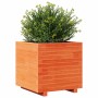 Jardinera madera maciza de pino marrón cera 50x50x49,5 cm en Macetas y jardineras | Comprar online en Foru.es