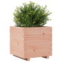 Jardinera madera maciza de abeto Douglas 50x50x49,5 cm en Macetas y jardineras | Comprar online en Foru.es