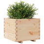 Jardinera madera maciza de pino 60x60x49,5 cm en Macetas y jardineras | Comprar online en Foru.es